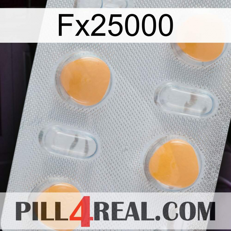Fx25000 24